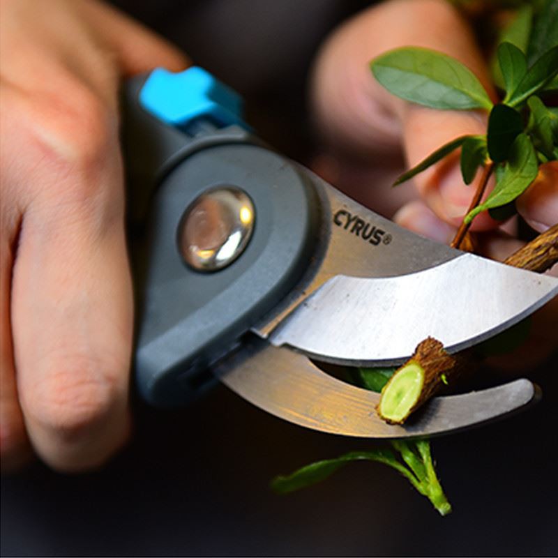 product-1-1 cutting live stem function