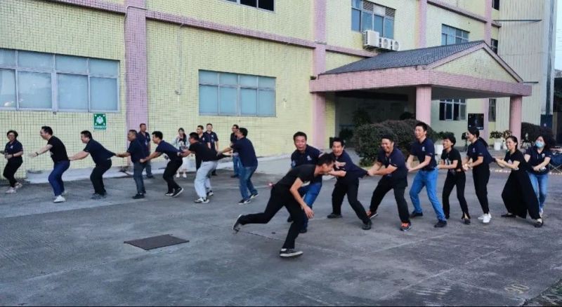 Team game - The eagle catches the chicken