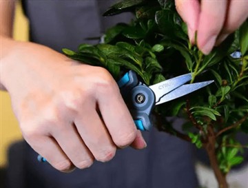 Miks me uued ja suuremad käärid turule panime