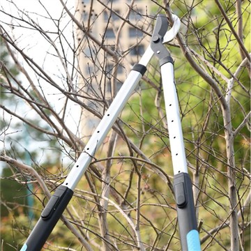 Pügamine ja kärpimine: Minu pereaeda