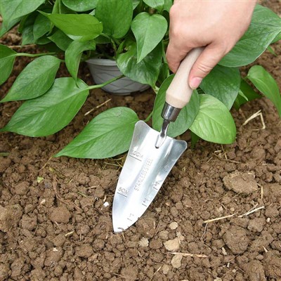 Aia istutamise päevik -1