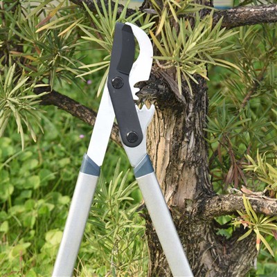 Parim tööriist pügamiseks on möödaviigulõikurid