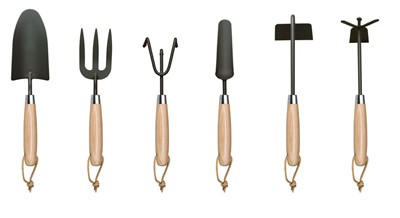 Tomatite istutamine kodus