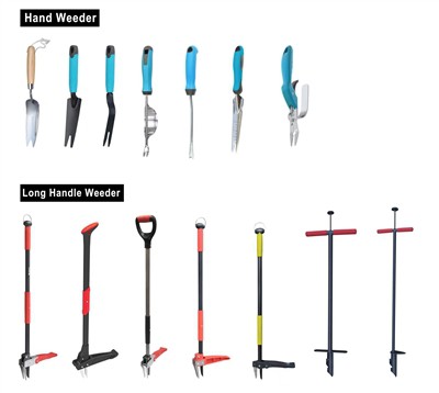 Rohelise kasvatamine: oma aias jätkusuutlikkus