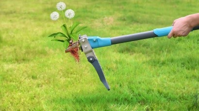 Specialty Garden Tools